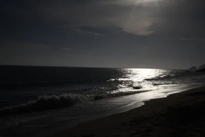 DSC_4133 (Large).JPG